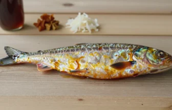 鮎魚醤のアイキャッチ画像 - 岐阜県の発酵食品
