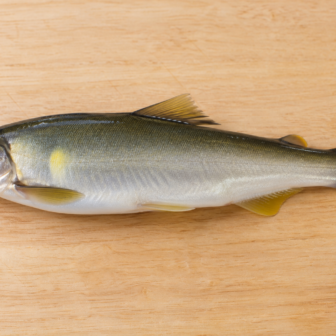 鮎魚醤の原料魚である鮎を表した参考図（AI生成）